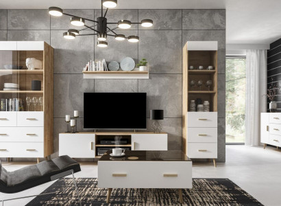 Wall unit Living room Set Display case Chest of drawers Wall shelf Display cabinets Wall units 4 pcs. set